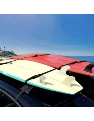 Correa de Amarre con Hebilla Negra