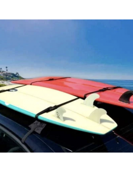 Correa de Amarre con Hebilla Negra