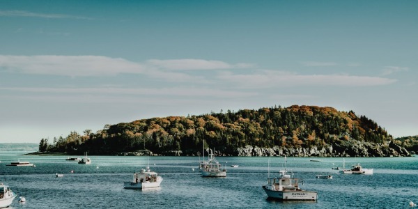 Domina la pesca desde embarcación con técnicas, equipos y consejos para capturar más peces